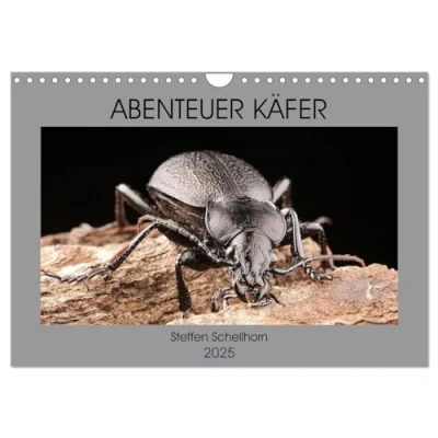 Abbildung von ABENTEUER KÄFER (Wandkalender 2025 DIN A4 quer), CALVENDO Monatskalender