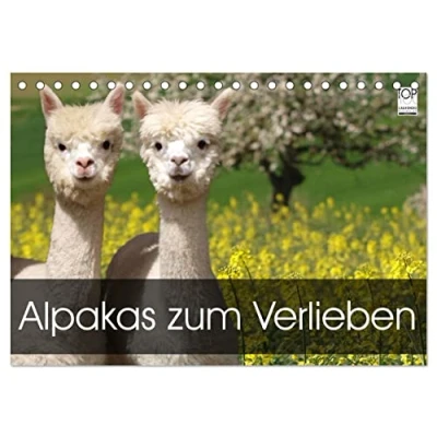 Abbildung von Alpakas zum Verlieben (Tischkalender 2025 DIN A5 quer), CALVENDO Monatskalender