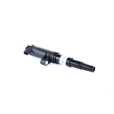 Abbildung von MAXGEAR 13 0041 Zündspule 2 RENAULT: CLIO 2, TWINGO 3, DACIA: Duster SUV, Logan I MCV, Sandero I, NISSAN: Primastar Kastenwagen, Terrano III