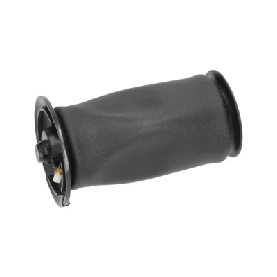 Abbildung von Luftfeder, Fahrwerk KAVO PARTS SAS 10005