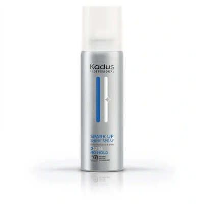 Abbildung von Spray Spark Up