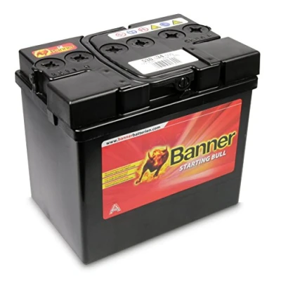 Abbildung von BannerPool 010530340101 Batterie 12V 30Ah 300A B00