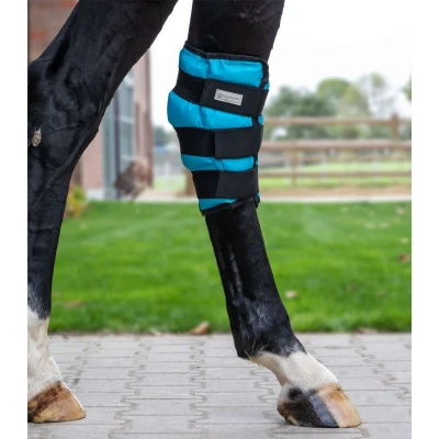 Abbildung von Waldhausen Ice Boot Gel Sprunggelenk Petrol Warmblut