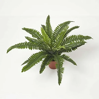 Abbildung von Homescapes Kunstpflanze Nephrolepis Exaltata, künstlicher Schwertfarn für den Indoor Bereich, üppiger Kunstfarn im Topf, künstliche Tropische Pflanze, 45 cm
