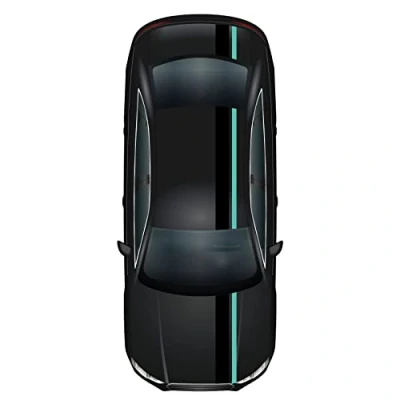Abbildung von Finest Folia Rennstreifen Racing Stripes 5mx15cm und 10mx5cm Rallystreifen Viperstreifen für Fahrzeuge Auto Kfz Zubehör Tuning Streifen Motorhaube Dach Heck (Schwarz Glanz/Mint)