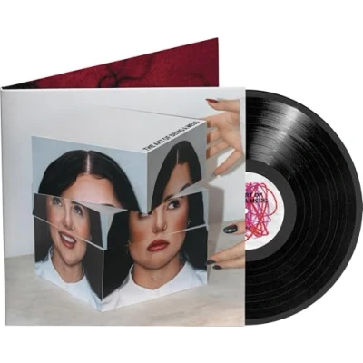 Abbildung von The Art of Being a Mess (LP) [Vinyl LP]