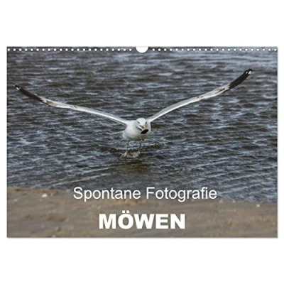 Abbildung von Spontane Fotografie Möwen (Wandkalender 2025 DIN A3 quer), CALVENDO Monatskalender