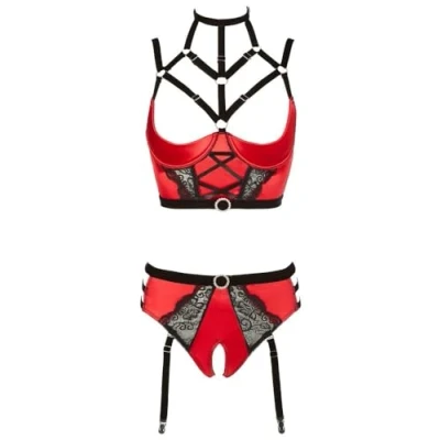 Abbildung von Bustier mit Bügel Hebe plus Taillenslip ouvert
