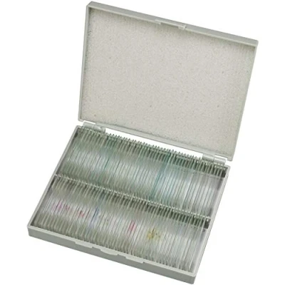 Abbildung von Bresser Mikroskop Dauerpräparate, 100 Glas Objektträger mit gefärbten Präparaten aus der Biologie, für Hobby, Schule und Unterricht