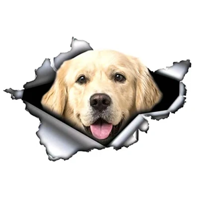 Abbildung von MACMRD Auto Aufkleber 13 cm X 8,8 Golden Retriever Autoaufkleber Zerrissener Metallaufkleber Reflektierende Wasserdichtes Styling Dekor