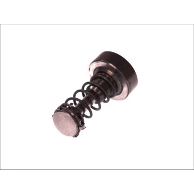 Abbildung von Kolben, Common Rail Pumpe BOSCH F 01M 101 355