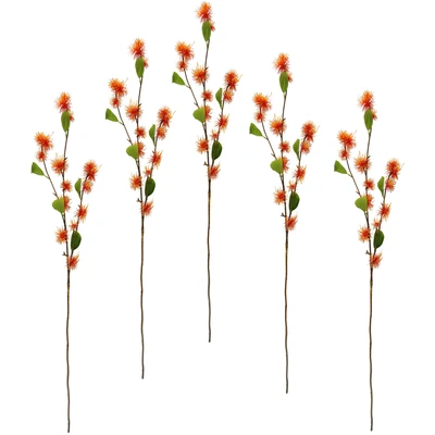 Abbildung von I.GE.A. Kunstblume &quot;Zaubernuss&quot;, 5er Set