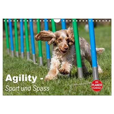 Abbildung von Agility Sport und Spass (Wandkalender 2025 DIN A4 quer), CALVENDO Monatskalender