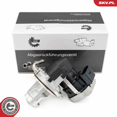 Abbildung von AGR Ventil ESEN SKV 14SKV255
