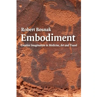 Abbildung von Embodiment: Creative Imagination in Medicine, Art and Travel