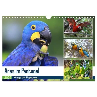 Abbildung von Aras im Pantanal (Wandkalender 2025 DIN A4 quer), CALVENDO Monatskalender