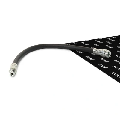Abbildung von RIDEX 83B0041 Bremsschläuche Vorderachse beidseitig 311 M10x1 SMART: City Coupe, Fortwo I Roadster Cabrio, FIAT: Panda Schrägheck
