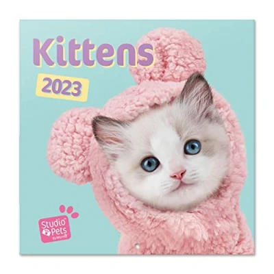 Abbildung von Grupo Erik Wandkalender 2023, Studio Pets Cats Wandkalender, Katzen Kalender zum Aufhängen, 2023 Familienkalender offizielle Lizenz, FSC zertifiziert