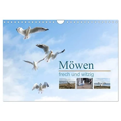 Abbildung von Möwen frech und witzig (Wandkalender 2025 DIN A4 quer), CALVENDO Monatskalender