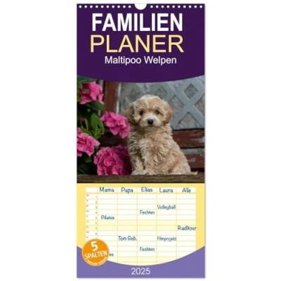 Abbildung von Familienplaner 2025 Maltipoo Welpen mit 5 Spalten (Wandkalender, 21 cm x 45 cm), CALVENDO