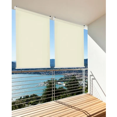 Abbildung von hecht international Senkrechtmarkise, LxB: 230x180 cm