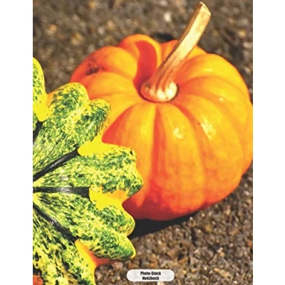 Abbildung von Photo Stock Notizbuch: Herbst Kürbis Tagebuch Journal 150 Seiten liniert Notizbuch im A4 Format mattes Softcover