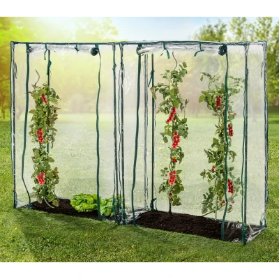 Abbildung von Tomatengewächshäuser, ca.150 x 100 50 cm 2 Stück