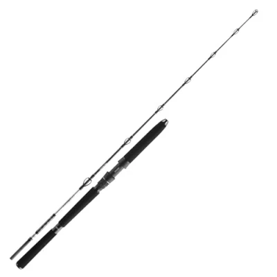 Abbildung von Daiwa BG Deep Sea 1,75m 30lbs Meeresrute