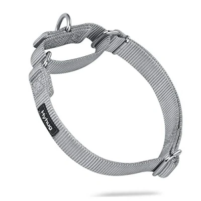 Abbildung von Hyhug Martingal Hundehalsband mit Schnalle: Ausbruchsicher, rutschfestes Robustes Polyester, farbechtes verstellbares Haustierzubehör für mittelgroße Hunderassen (Mittel, Sleet grau)