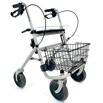 Abbildung von Trendmobil Standard Rollator 1 St