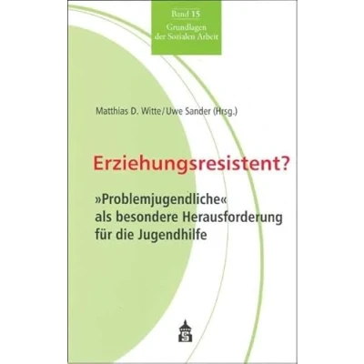 Abbildung von Erziehungsresistent? &quot;Problemjugendliche&quot; als besondere Herausforderung für die Jugendhilfe