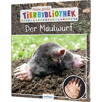 Abbildung von Meine große Tierbibliothek: Der Maulwurf: Sachbuch für Vorschule &amp; Grundschule