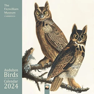Abbildung von Fitzwilliam Museum Audubon Birds 2024 Calendar