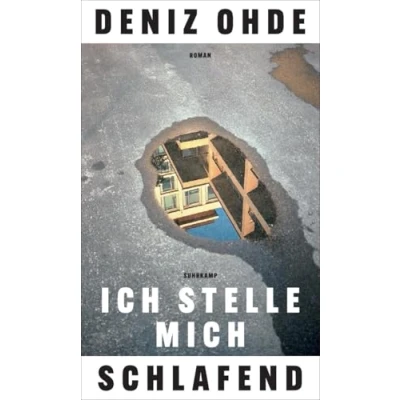 Abbildung von Ich stelle mich schlafend: Roman Das neue Buch der preisgekrönten Bestsellerautorin von »Streulicht«