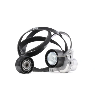 Abbildung von DAYCO KPV217 Keilrippenriemensatz RENAULT: ESPACE 4, LAGUNA 3 Grandtour, TRAFIC 2 Kasten, OPEL: Vivaro A Kastenwagen, Combi