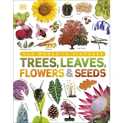 Abbildung von Our World in Pictures: Trees, Leaves, Flowers &amp; Seeds: A visual encyclopedia of the plant kingdom