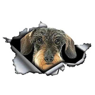 Abbildung von PMSMT 2 x Auto Aufkleber, 3D Dackel, zerrissene Autoaufkleber, reflektierend, PVC, wasserdicht, 15 9,2 cm, reflektierend