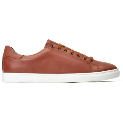 Abbildung von Base London Tucker Ledersneaker für Herren in verbranntem Braun.