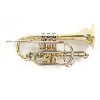 Abbildung von Roy Benson Bb Kornett CR 302 (professionelles mit ML Bohrung, 119mm Messing Schallstück, Goldmessing Mundrohr, Neusilber Außenzüge und Edelstahl Ventilen), lackiert