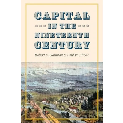 Abbildung von Capital in the Nineteenth Century (National Bureau of Economic Research Series on Long Term Factors Development)