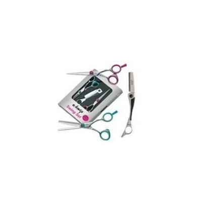 Abbildung von Scharenset Swing Plus