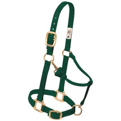 Abbildung von Weaver Leather Original verstellbares Nylon Pferdehalfter, Yearling, Hunter Green