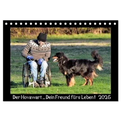 Abbildung von Der Hovawart... Dein Freund fürs Leben ! (Tischkalender 2025 DIN A5 quer), CALVENDO Monatskalender