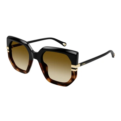 Abbildung von Chloé Damen CH0240S 003 Sonnenbrillen Acetat Schwarz Braun Schmetterling