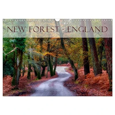 Abbildung von New Forest England (Wandkalender 2025 DIN A3 quer), CALVENDO Monatskalender