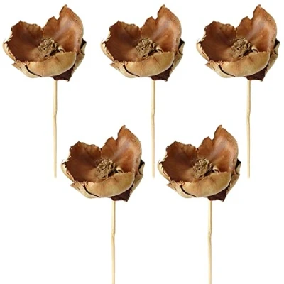 Abbildung von matches21 Palm Blut am Stiel Naturdeko lackiert Dekozweige Bastelmaterial Trockenpflanzen getrocknet Natur 5er Set