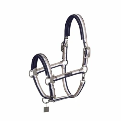 Abbildung von Eskadron SS&#039;24 Classic Halfter