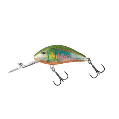 Abbildung von Salmo Hornet 6cm 10g Floating 2,0 5,6m Holo Oikawa Wobbler