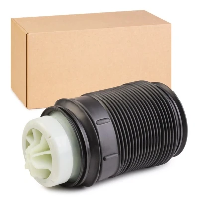 Abbildung von RIDEX 4119A0029 Luftfeder, Fahrwerk Hinterachse links MERCEDES BENZ: CLS Shooting Brake, E Klasse T modell, Limousine