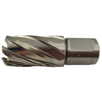 Abbildung von WRS Präz. Kernbohrer aus HSS, 30 mm Schnitttiefe, 19 Weldonschaft, Größen Name: 28,0 Ø